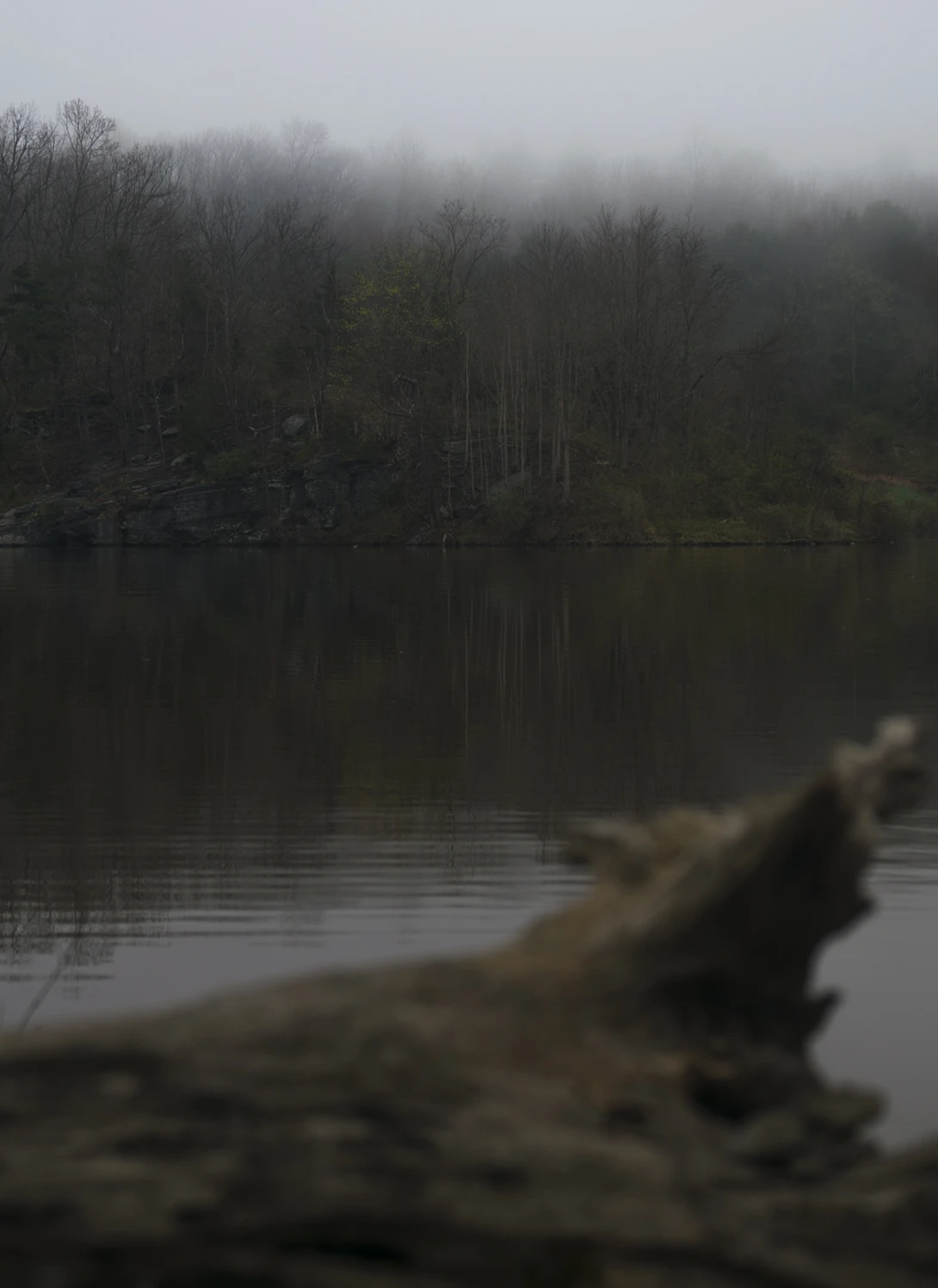 View a74176f5131aef1b2f8059f5ef98612b.jpg by joseph cole