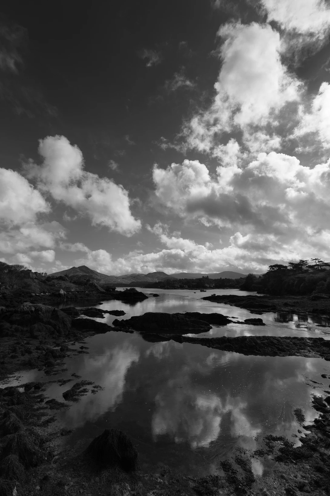 View c03c7e43a0b7c6f7e89ca420e16017eb.jpg by Shawn Mahan