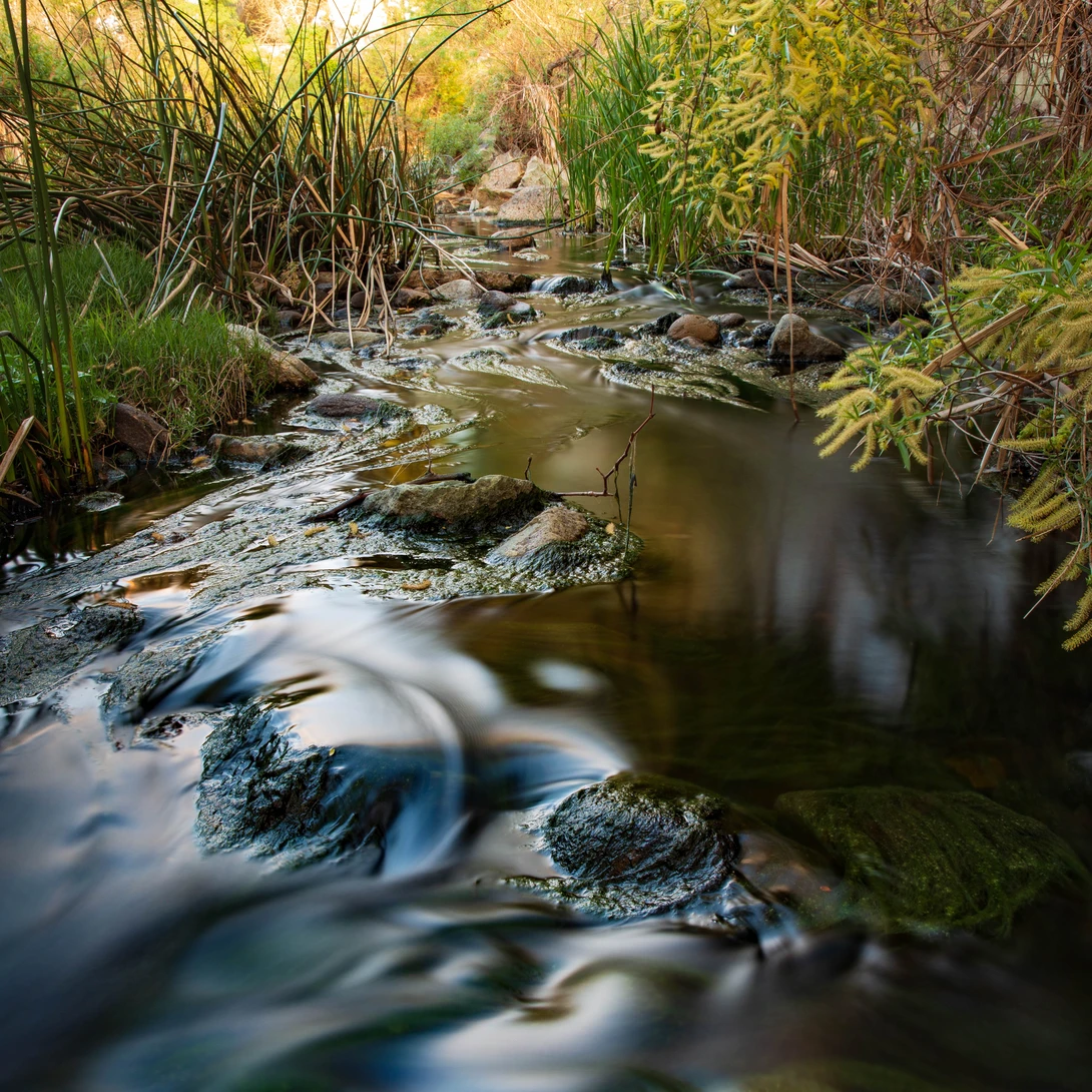 View c26b7d7782b39b847a1bcb5917def270.jpg by Dillon Murphy