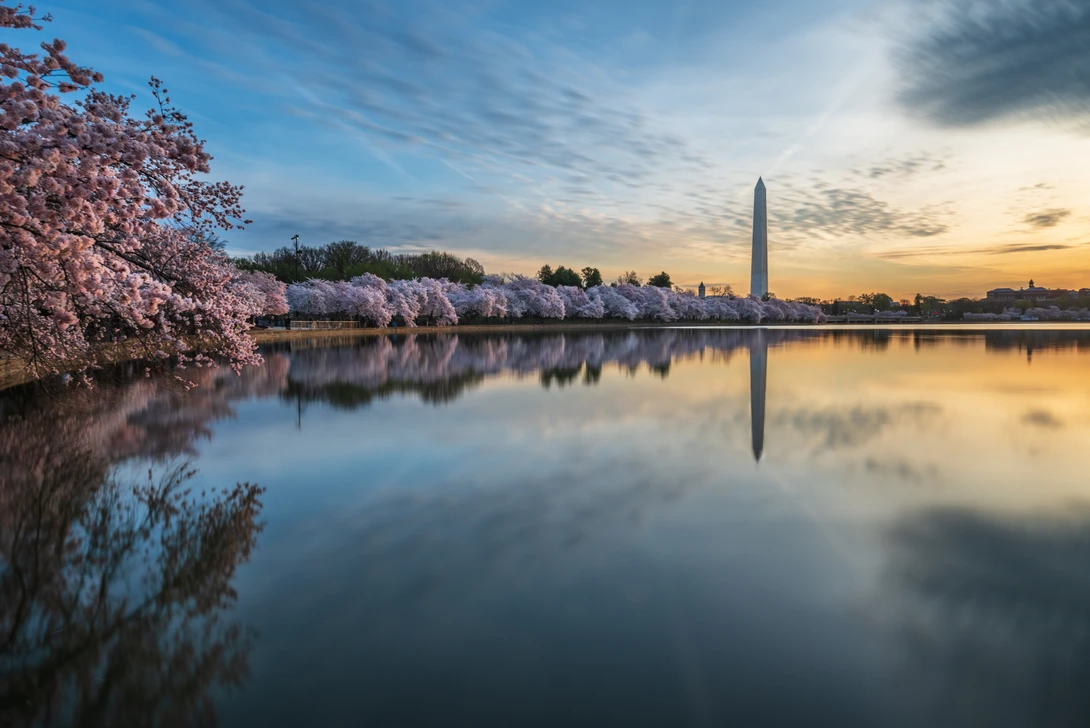 View d00d76af9a6d4c2942aea878507f9bf8.jpg by Josh Sanders