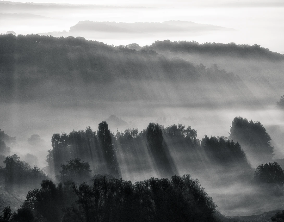 View d62cf58ab4aaad13148199a39ed9f7f5.jpg by Mark Seawell