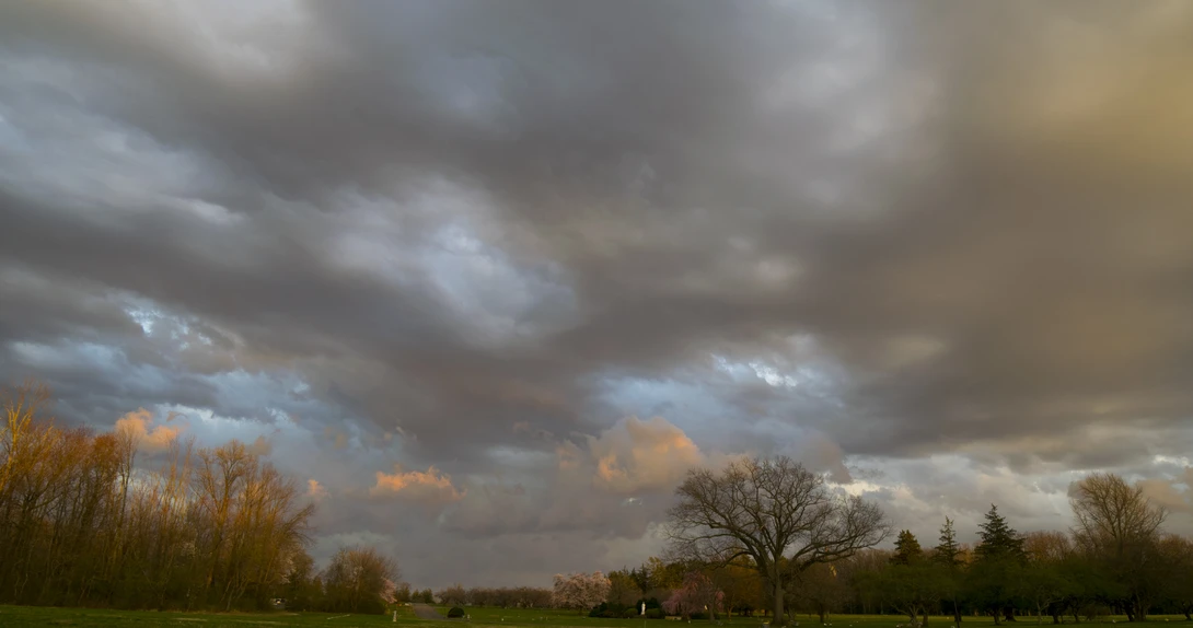 View ddbfe4b81f9ff7ac191fee39bfc3e72d.jpg by joseph cole