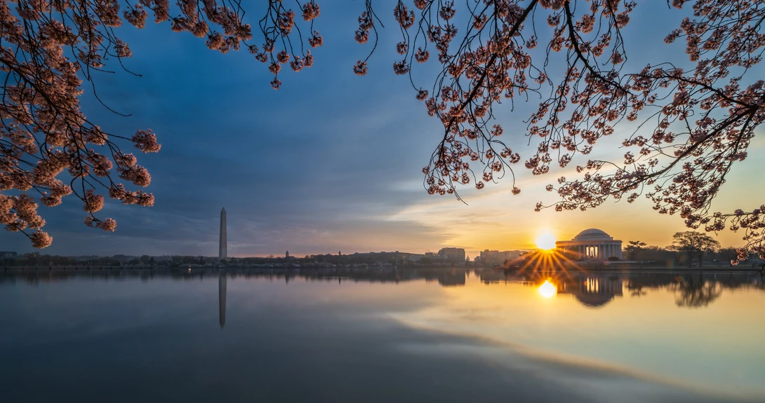 View e3b454c3aac4309c88686b00ba14c4a4.jpg by Josh Sanders