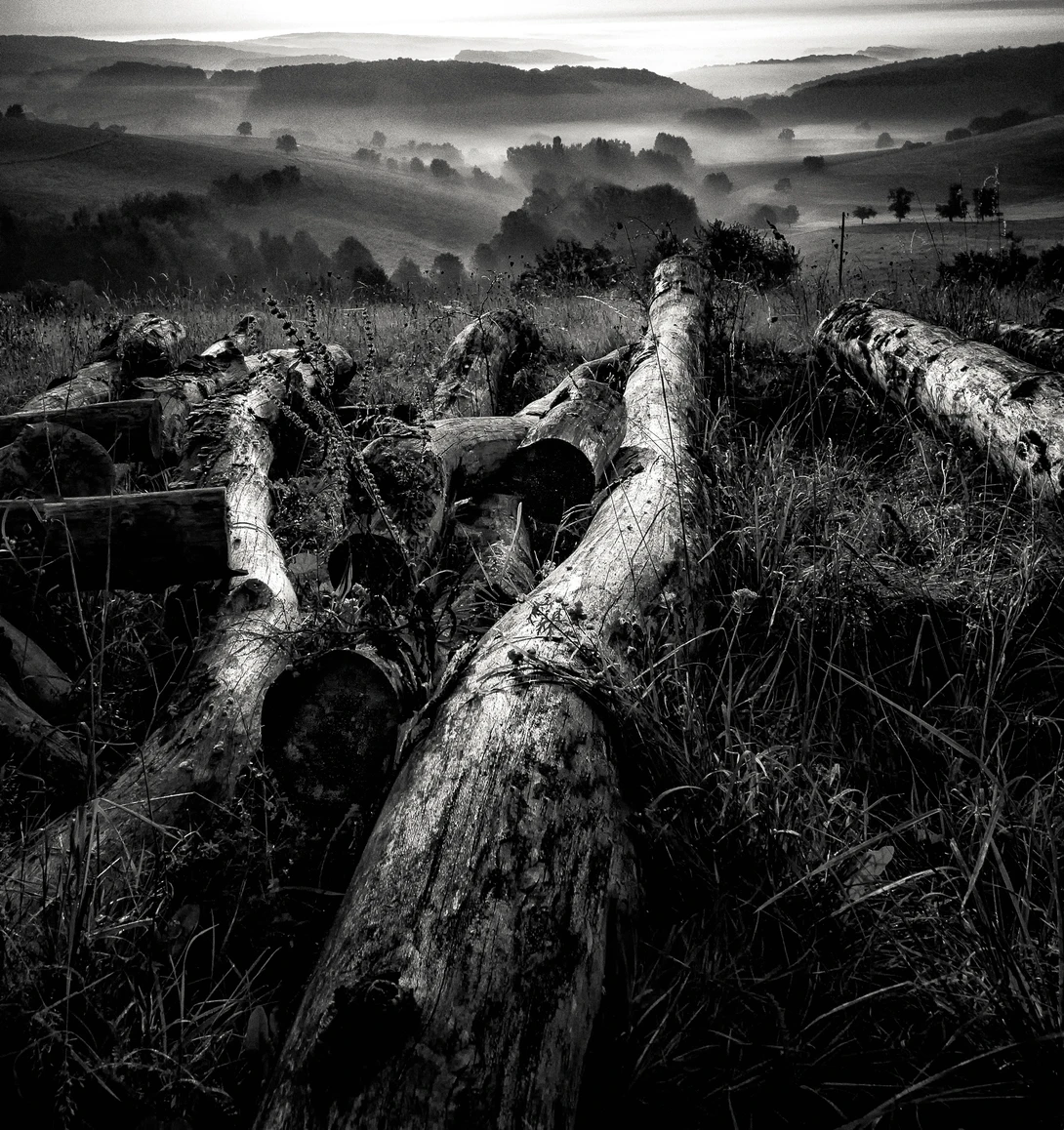 View e7976bc9f96f5da2314421272c60ae66.jpg by Mark Seawell