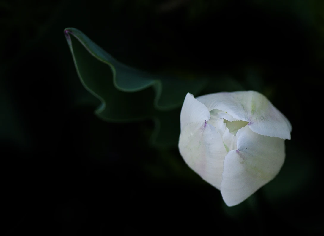 View f1a6d93501b8f25910515db0cbd48d13.jpg by Ruth Carll