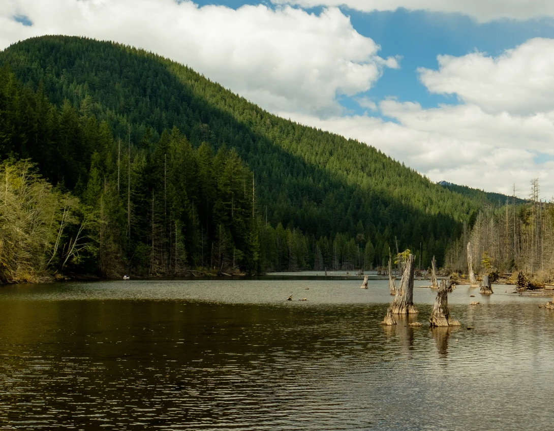 View 00fb1ca5d02ed25fb7240d8f0ed56f90.jpg by Scott Steinson