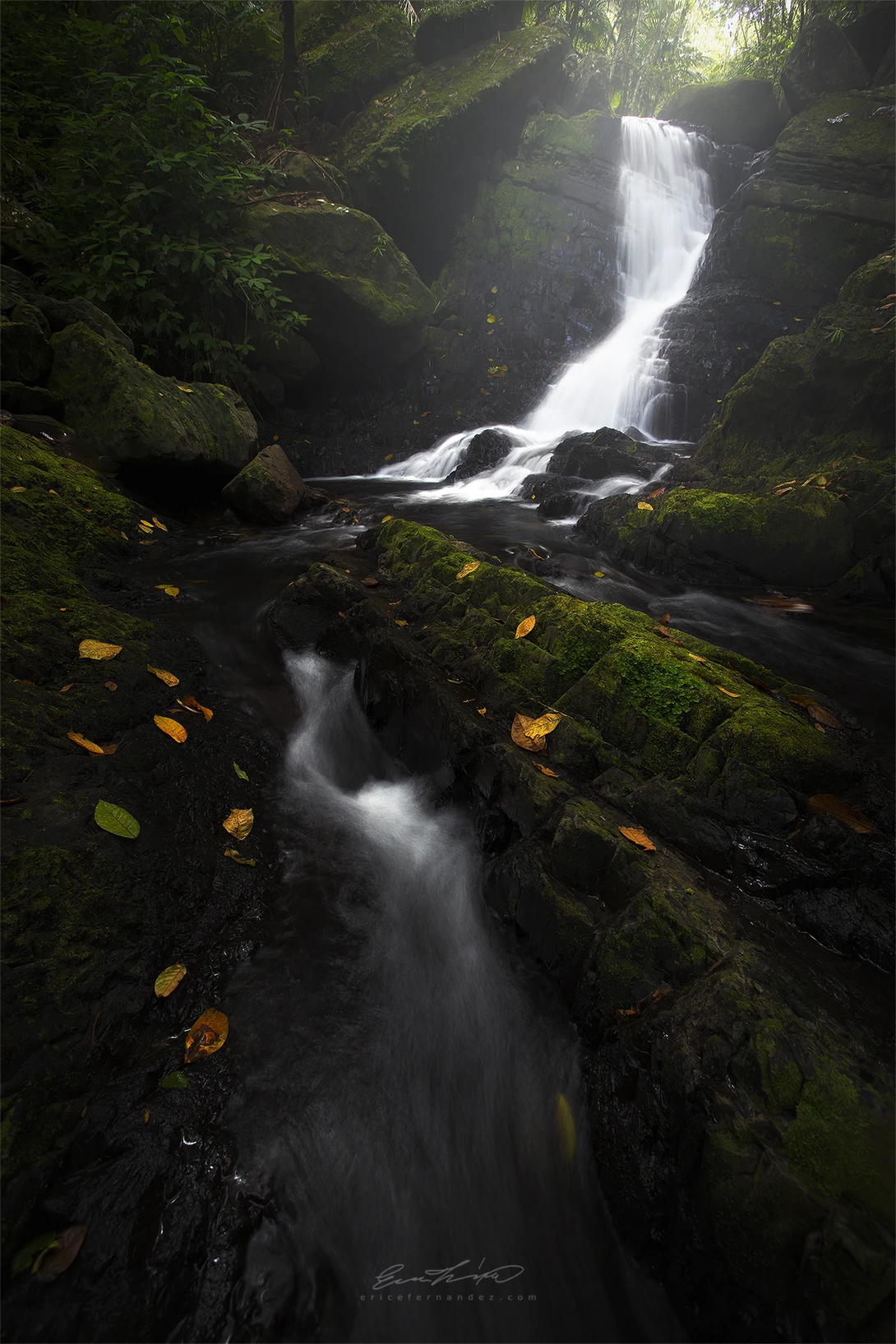View 050fd2ec7e0b773d1099b0dc72958812.jpg by Eric Fernandez
