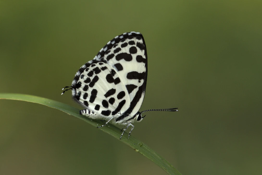 View 3d00bbd45d740af9bad697cb62da35ee.jpg by Srinath Muralidharan