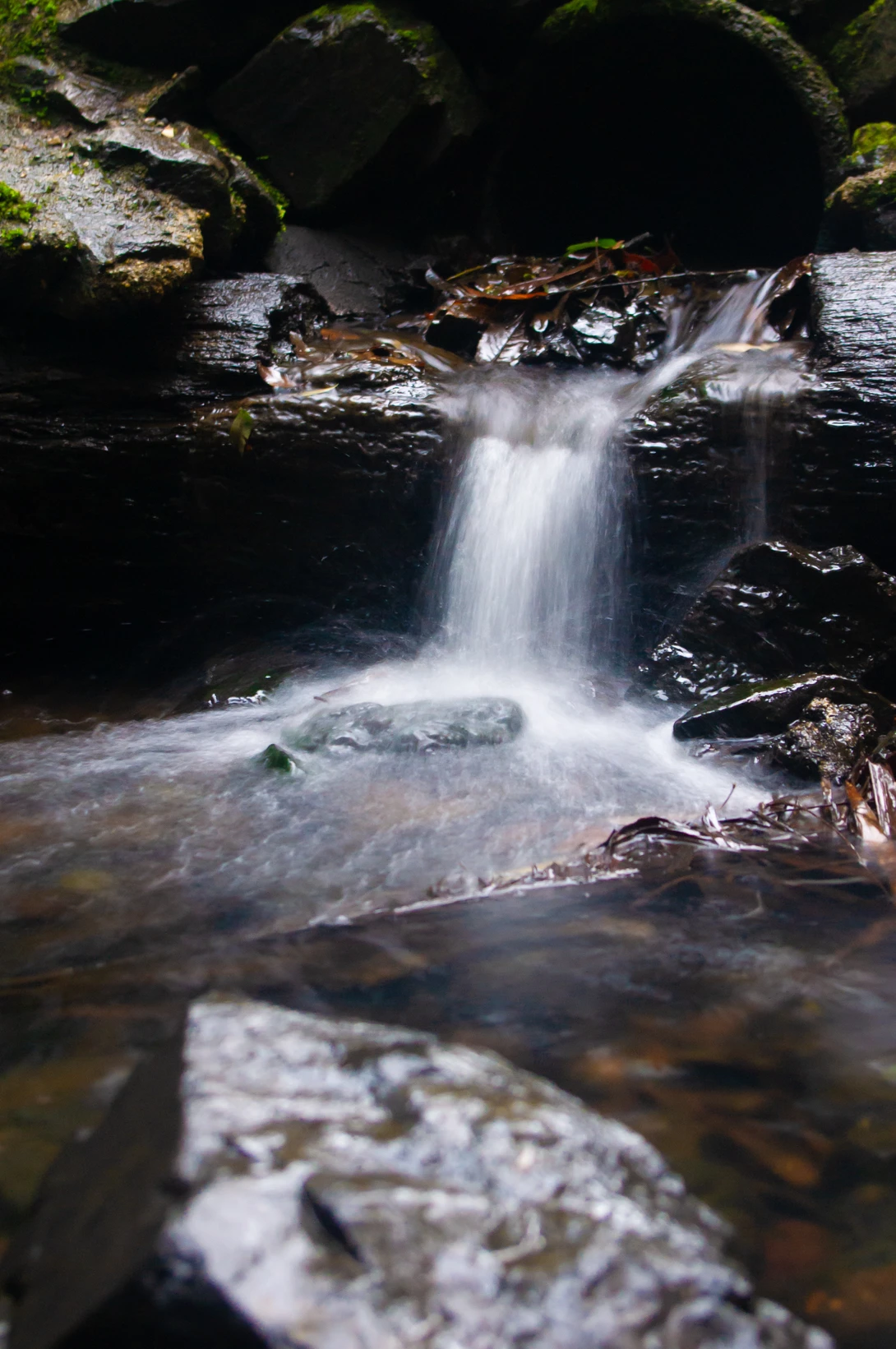 View 4f77f133768195b97bb78d7a7a8e69a5.jpg by Jeremy Martignago
