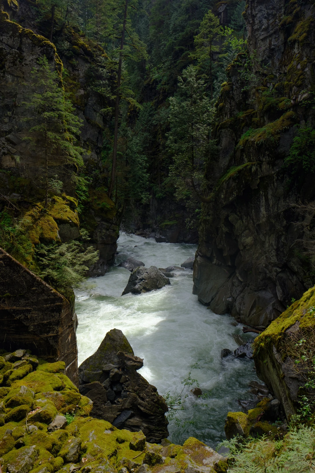 View 7db2fd736b8a8dd7f251d91b1fa2c975.jpg by Scott Steinson