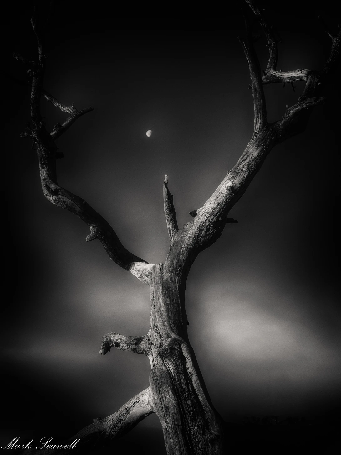View ac065966c8114188b415fc11d035bc6b.jpg by Mark Seawell
