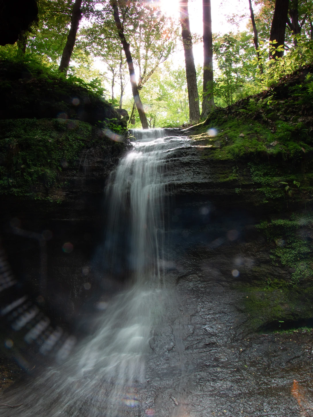 View b32405f162b9e68cd845c650b1544847.jpg by Daniel Frost