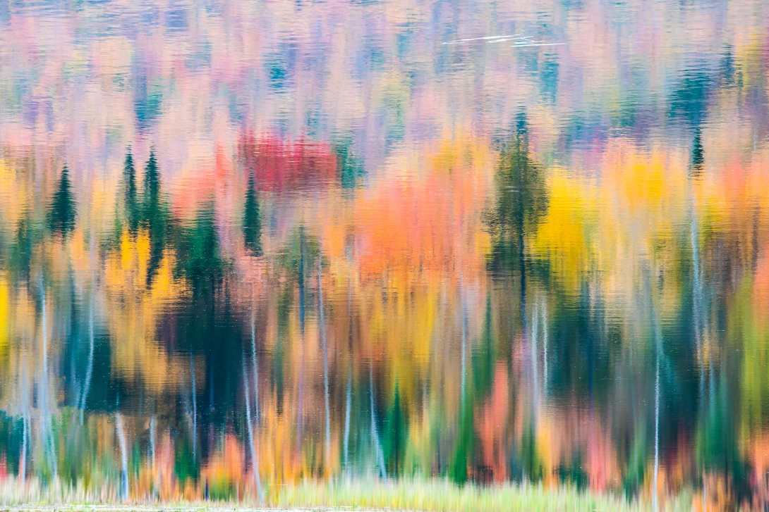 View bc9ba6bc934771ad9b37d9d9b21aa0cc.jpg by Alan Brown