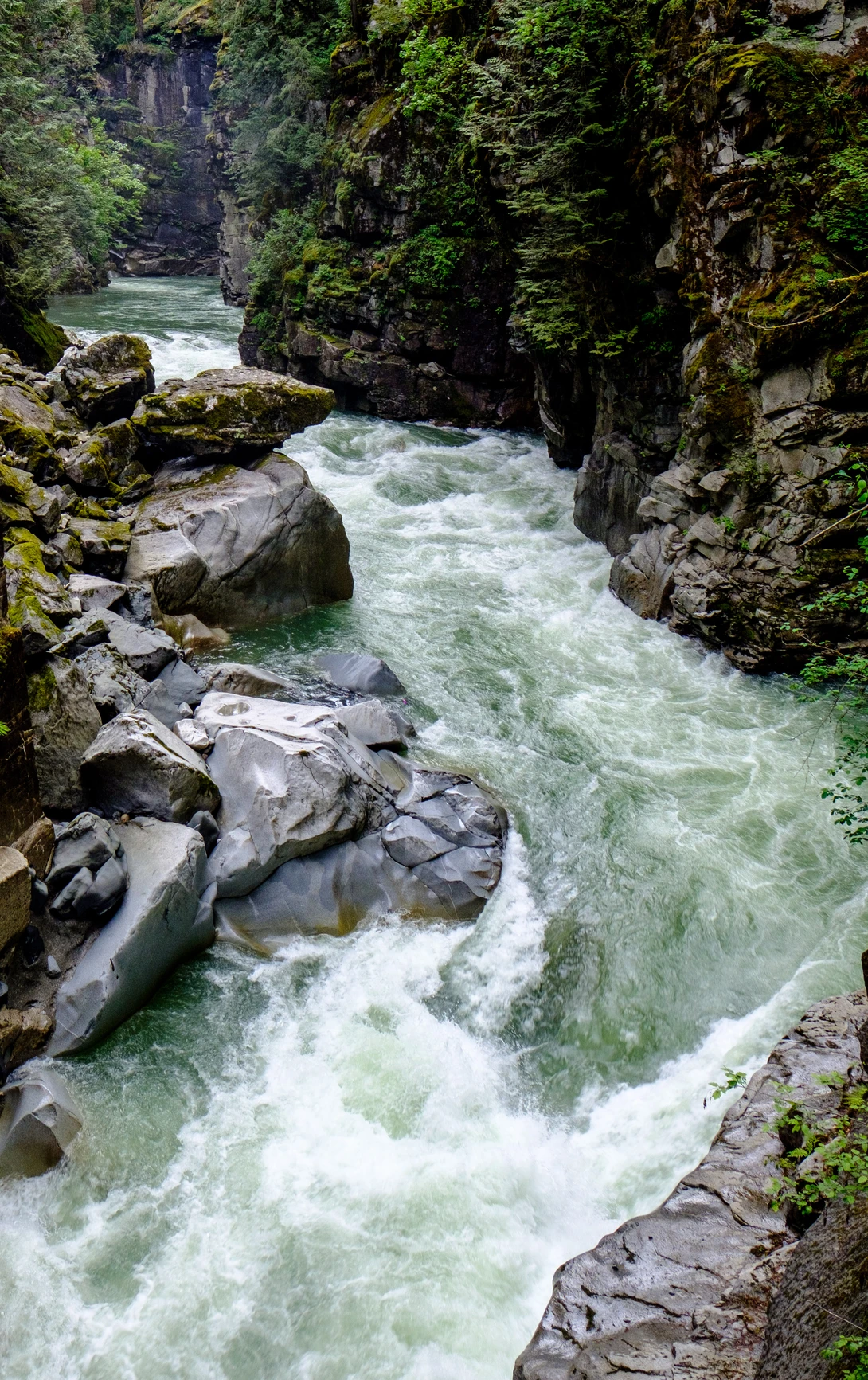 View c1d9cf7fd2ec253a735350ea9f6d3d89.jpg by Scott Steinson