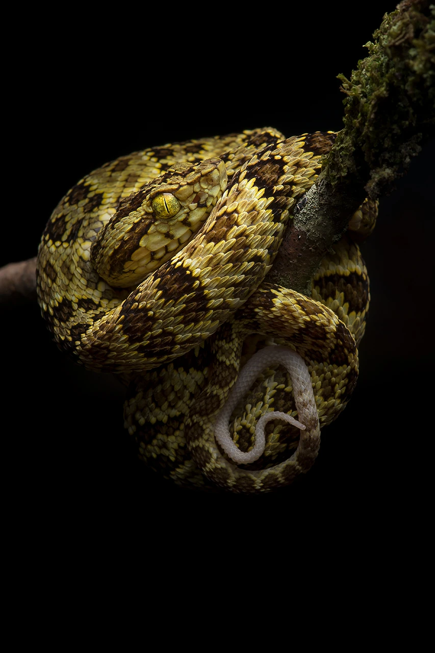 View c70c083f0bd92ff91bba9c863b09df03.jpg by Sebastian Di Domenico