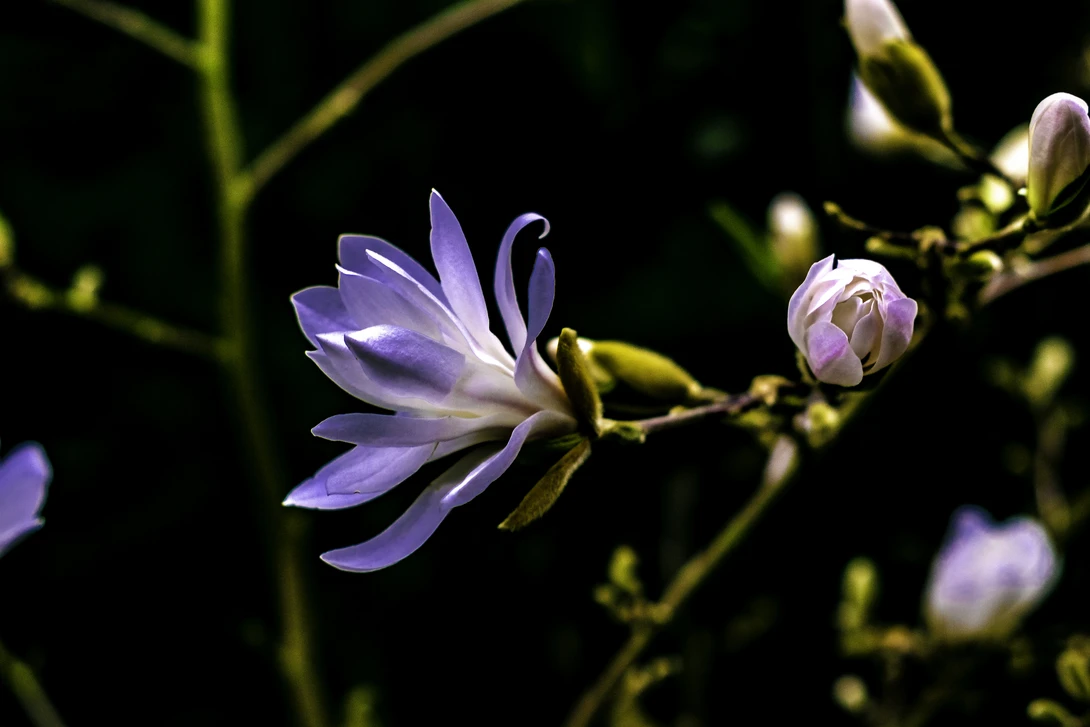 View e27e32c57bfd6d26f673c99a3f4160f5.jpg by Eddy Waddel