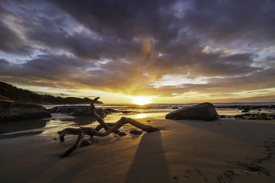 View 13262761e65c5dd8d9c0b5d2a3bd8b04.jpg by Gareth Yearsley
