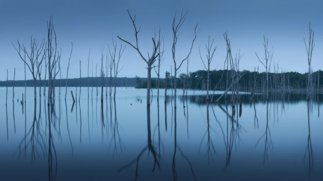 View 19a6b0843f0efddb0a0cbe51b4ff5f77.jpg by joseph cole