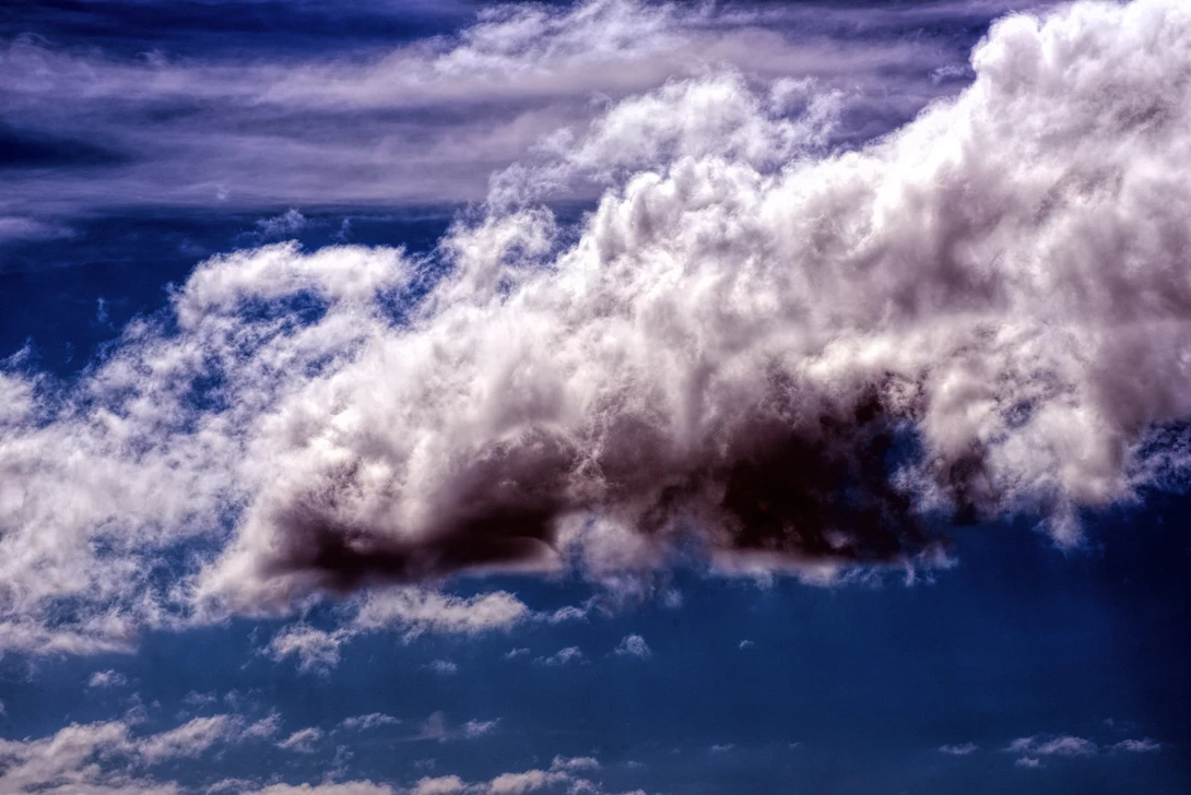 View 2d514a426f7750eeff64a5b68d3f0c90.jpg by Andrew Williams