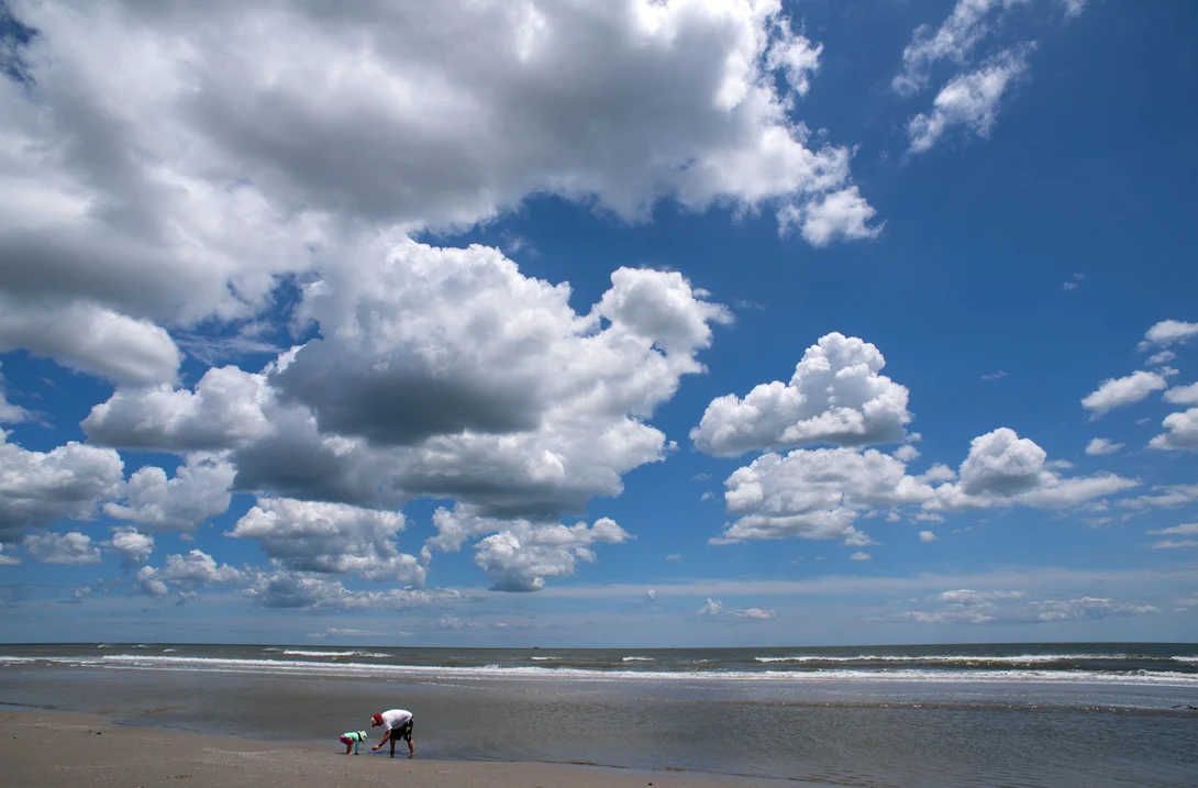 View 2fc4510c6921689bbb3736e04c5250f8.jpg by Andrew Williams