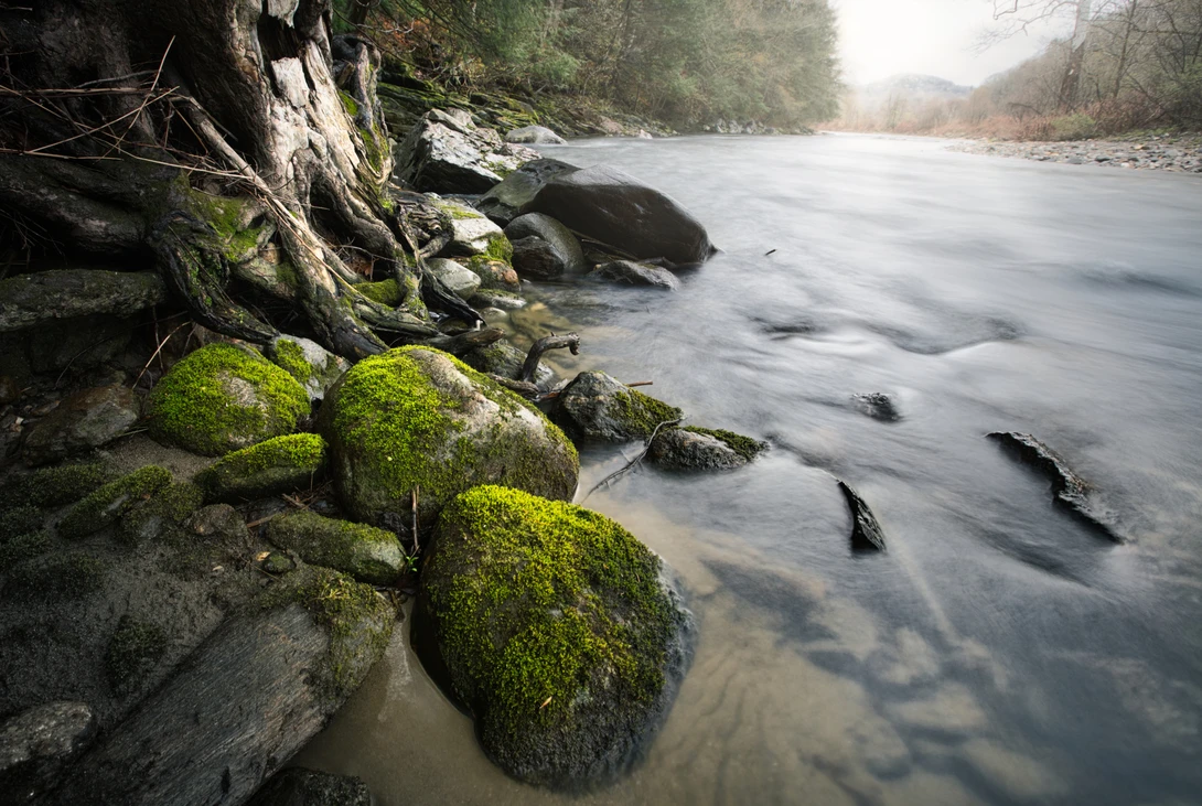 View 3562fac1e6e9093d1e4ef41f433b0b19.jpg by Chad Wanstreet