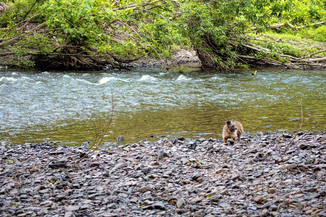 View 3b5565e1409d461e4960210a6943b759.jpg by Andrew Williams