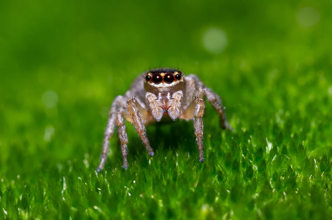 View 80d881db7d508b310fd49e0b084a84f3.jpg by Jeremy Martignago