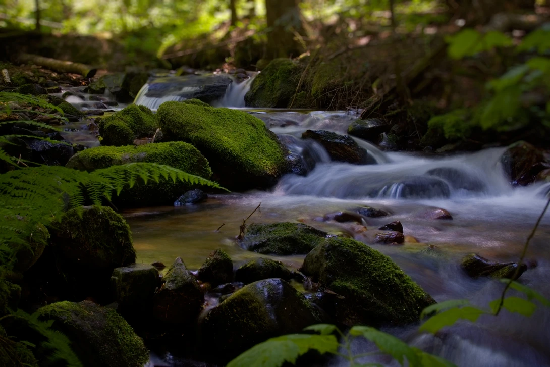 View 951534829ac41d42dbf611f374342cc6.jpg by Kristopher Schmidt