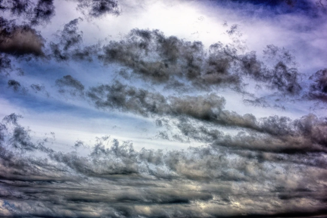 View 9846601f6712a7101b728d9894e5e3c4.jpg by Andrew Williams
