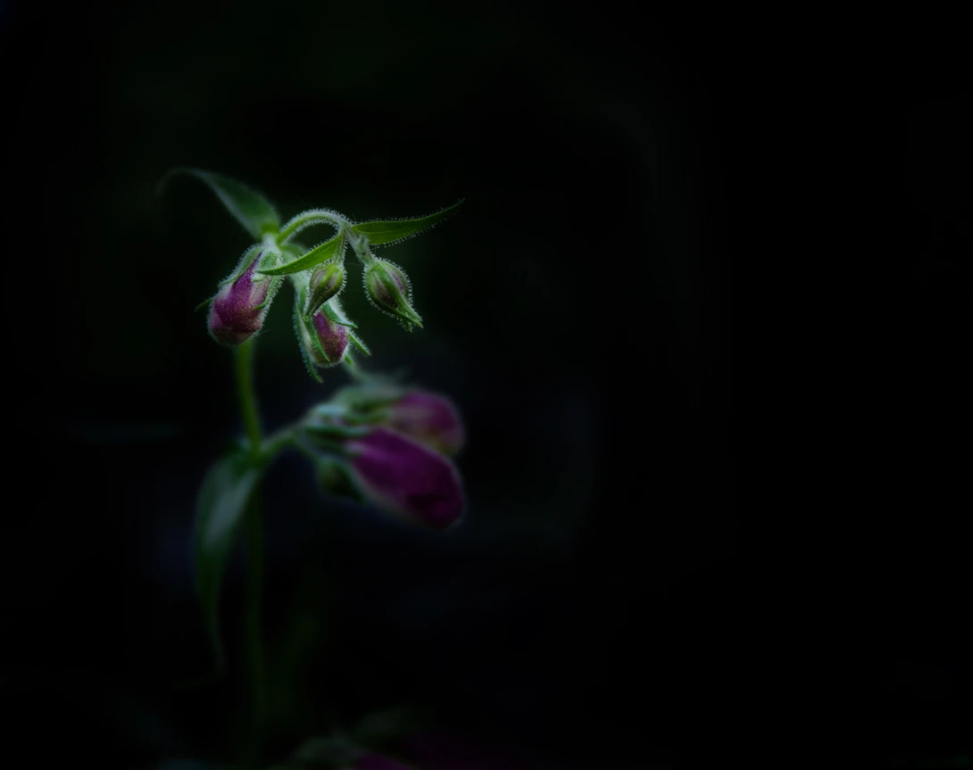 View a882adf7ca00a1e8436334f5e206fd1b.jpg by Ruth Carll