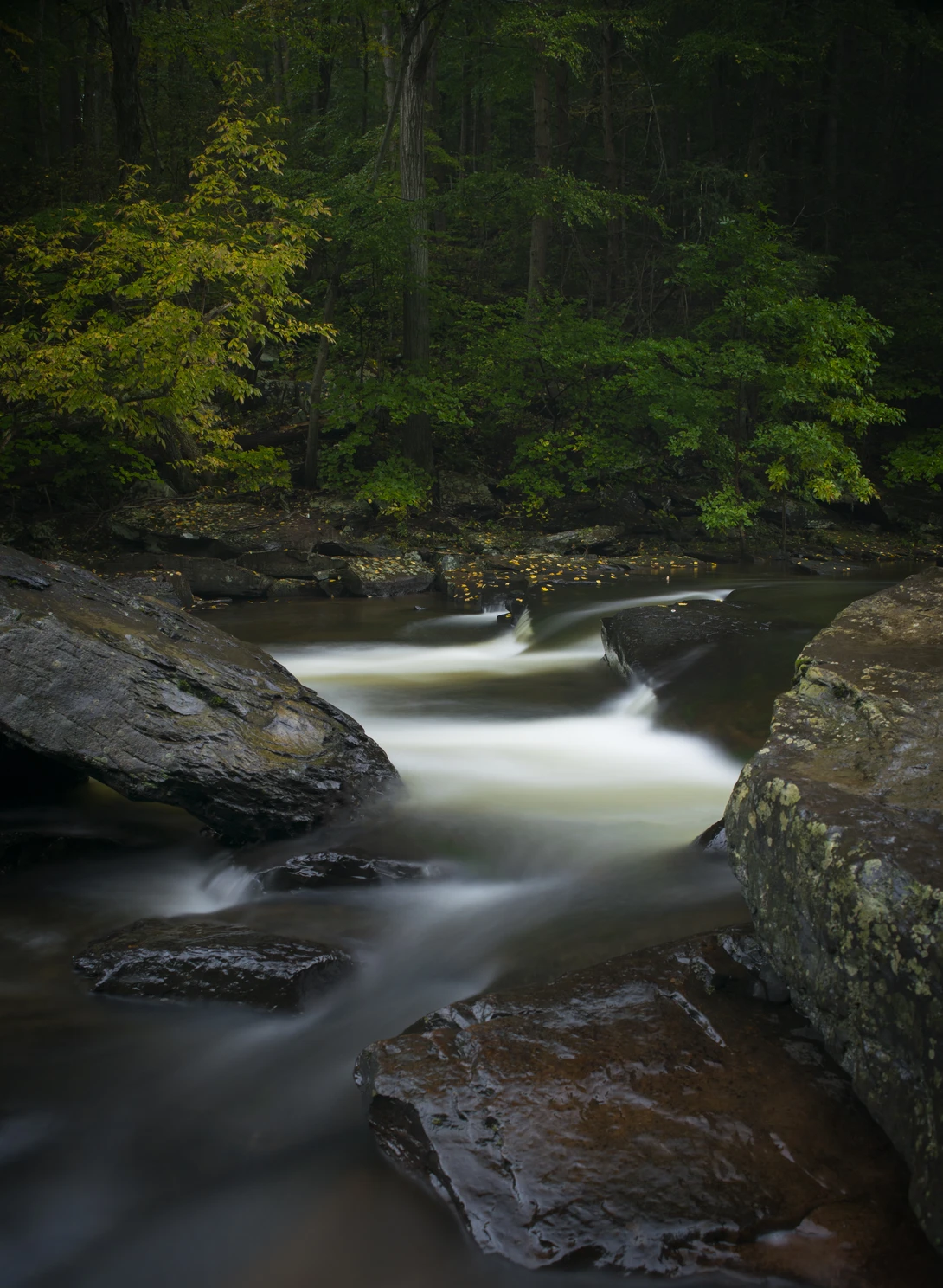 View b8721e4eb06a28c9b5a21423bb49dd69.jpg by joseph cole