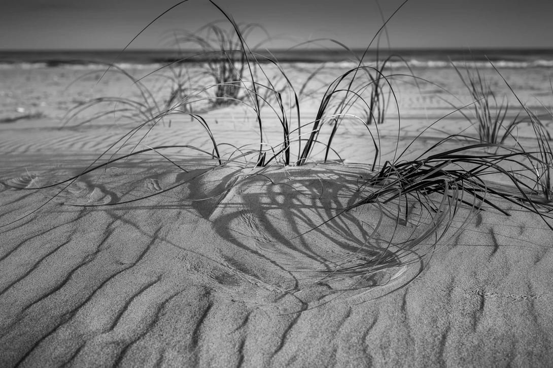 View e7f4f4051453e2aa5ee022fa16dddbb6.jpg by Kyle Foreman