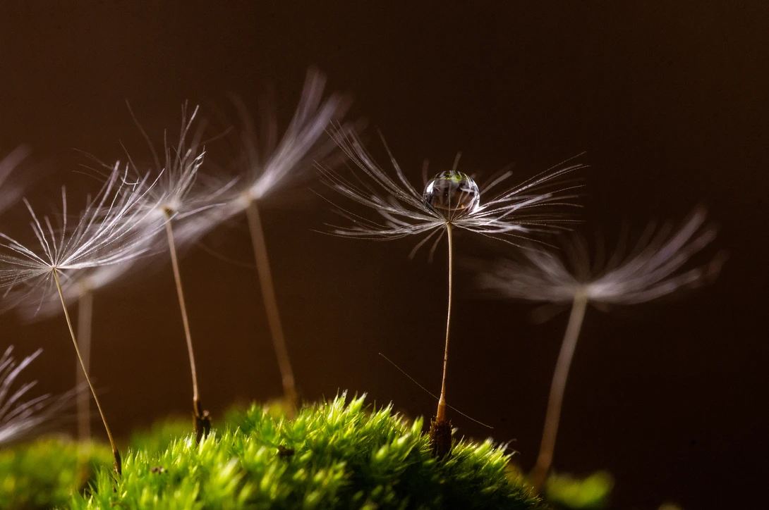 View 073b7fc03ed0e8695a62ff92ee3b27d1.jpg by Jeremy Martignago