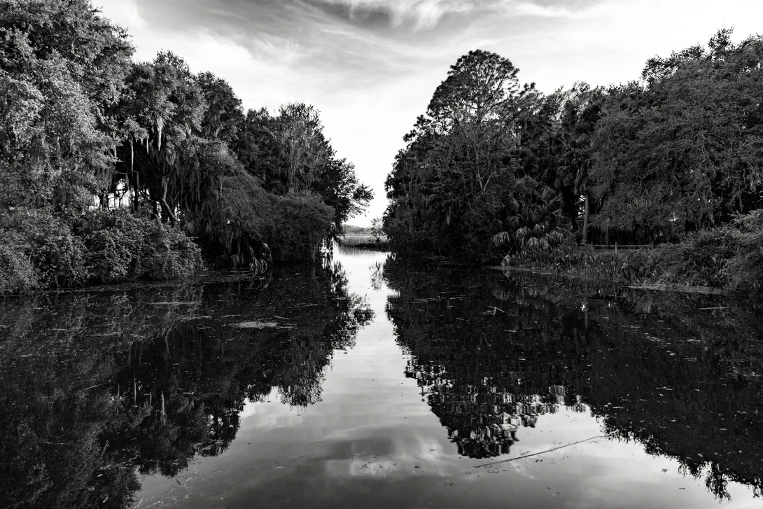 View 091e36230e8e7fa60dfdd7980b44f201.jpg by Chris Sampson
