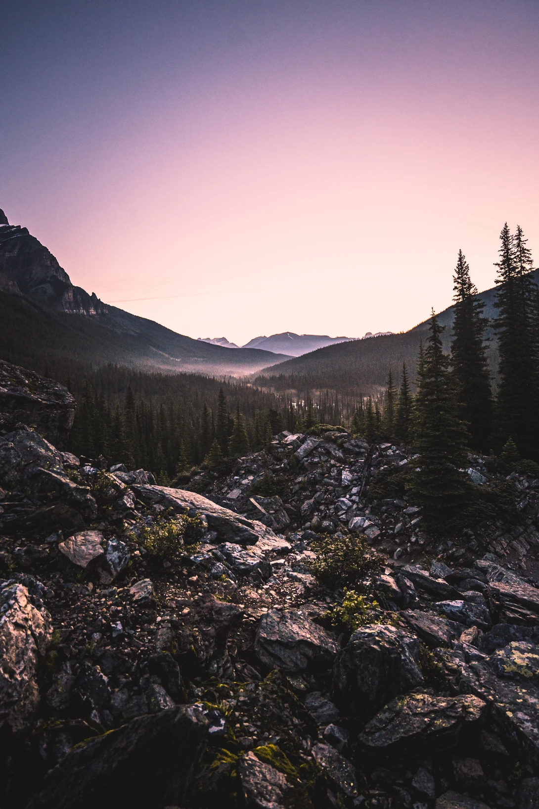 View 09dac7d4828b4d6619e9641f3888b286.jpg by Brayden Mah