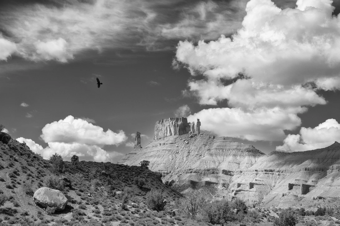 View 167c6b59212062e5f59d6c5034f69773.jpg by Mark Seawell