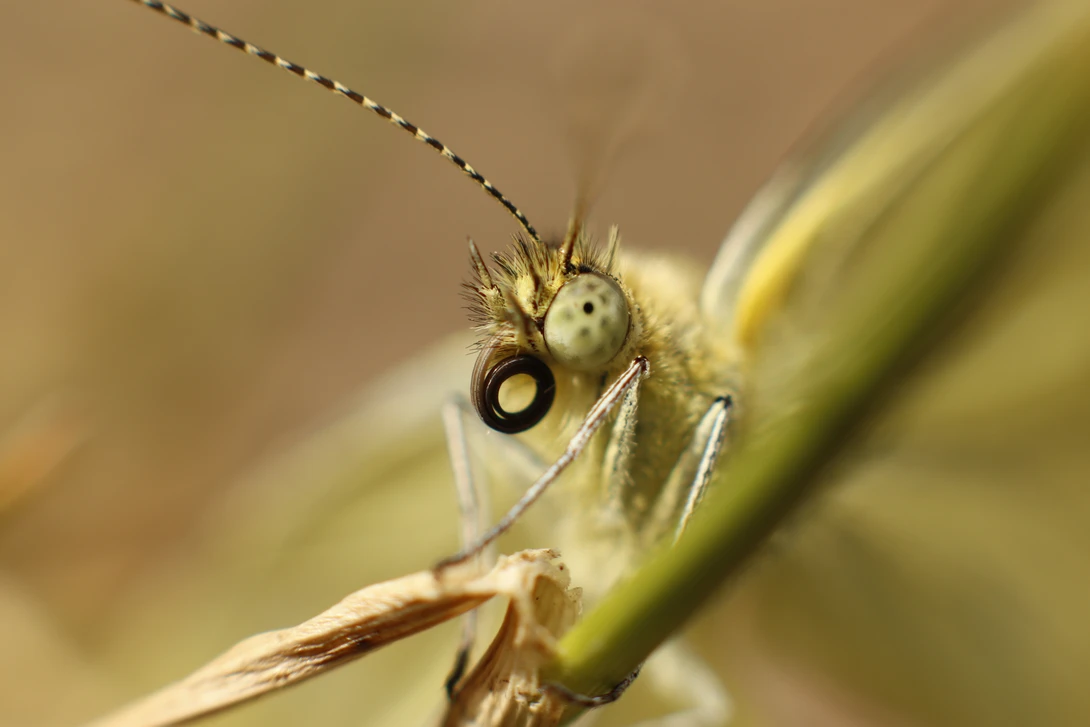 View 187aa13b3b5c280835cf7b19c25b30d8.jpg by Ian Luyten