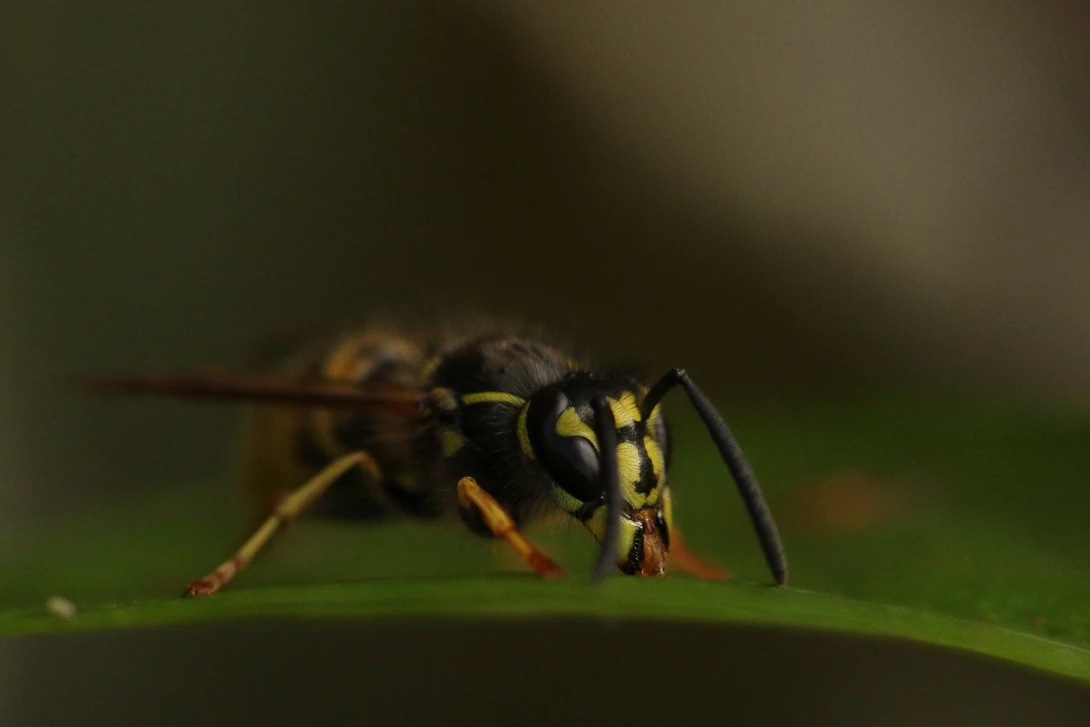 View 1931514e76238374e15f91485096c45f.jpg by Ian Luyten