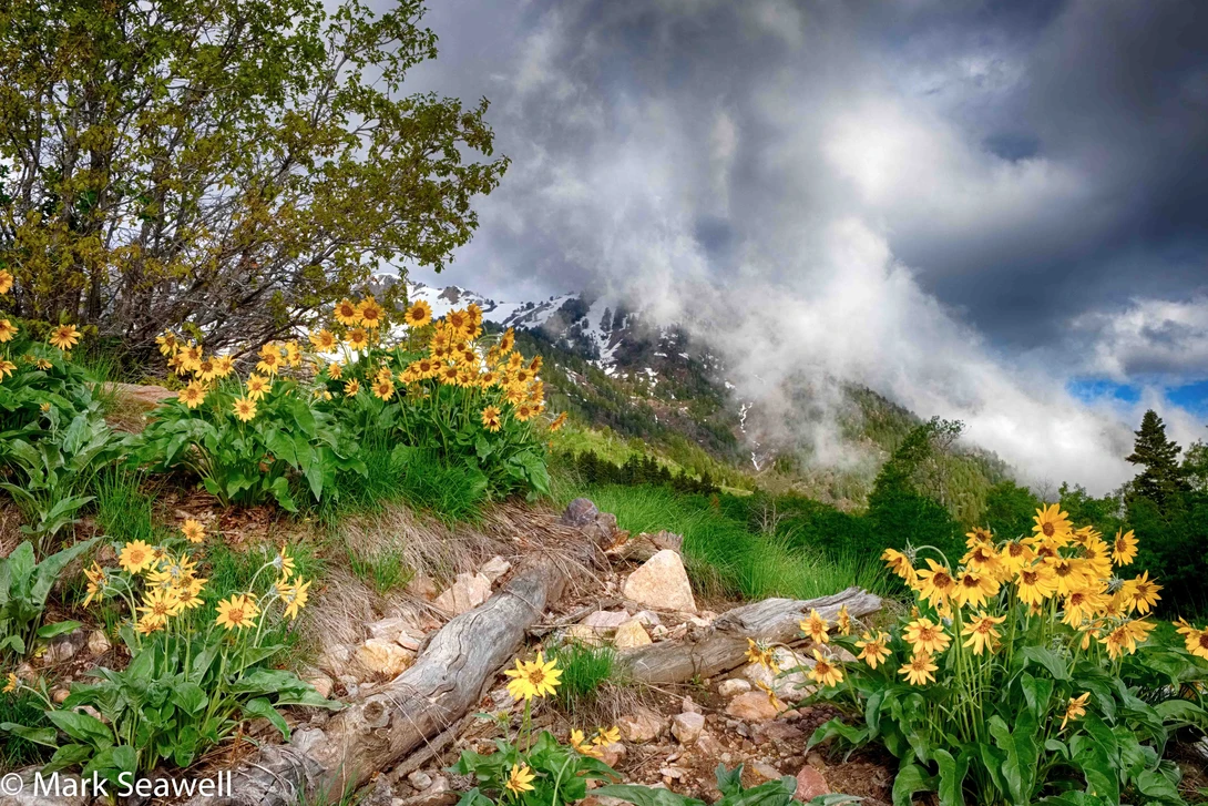 View 2d5a88da073d98d60257709d5eb78b62.jpg by Mark Seawell