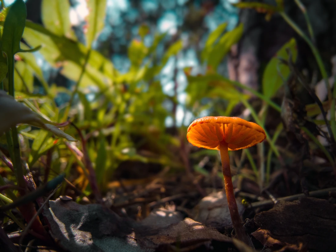 View 2dc42c313653afbb079c81d7c76af150.jpg by Dmitry A