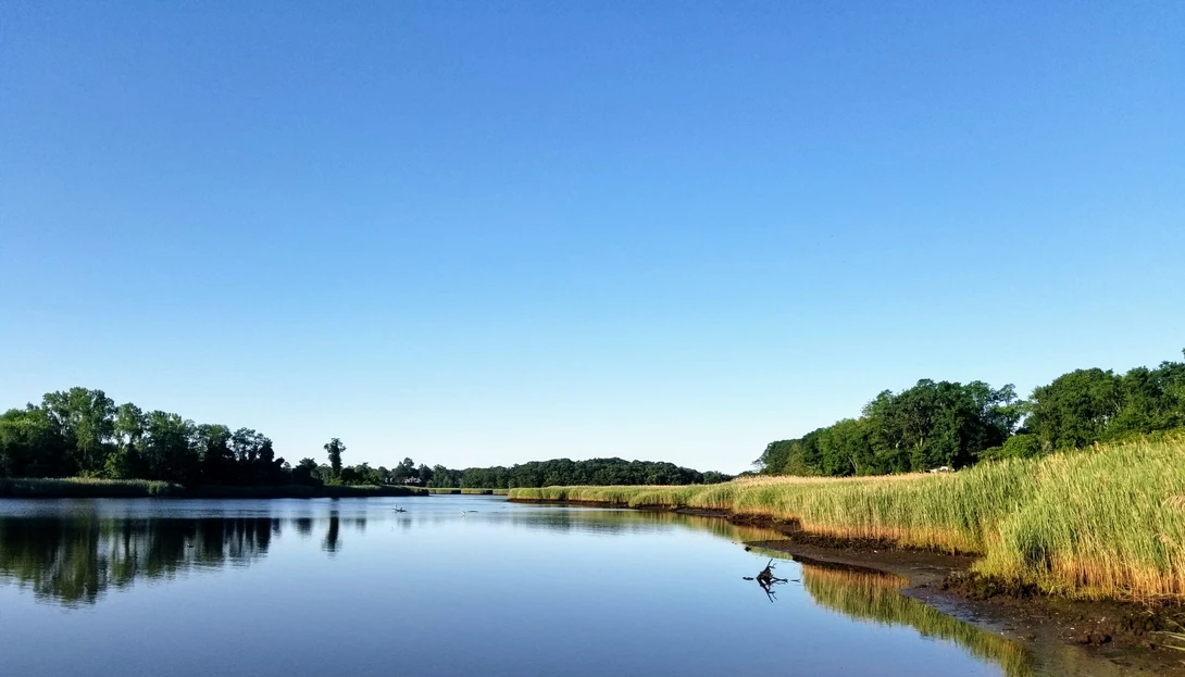 View 3336fd226ea26501261e0655cb43d460.jpg by Ruth Carll