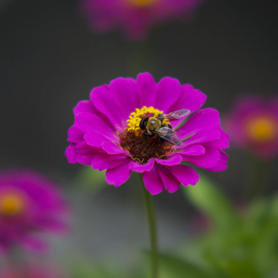View 3554c83c02345ebf1fa9fbf79084a3e2.jpg by joseph cole