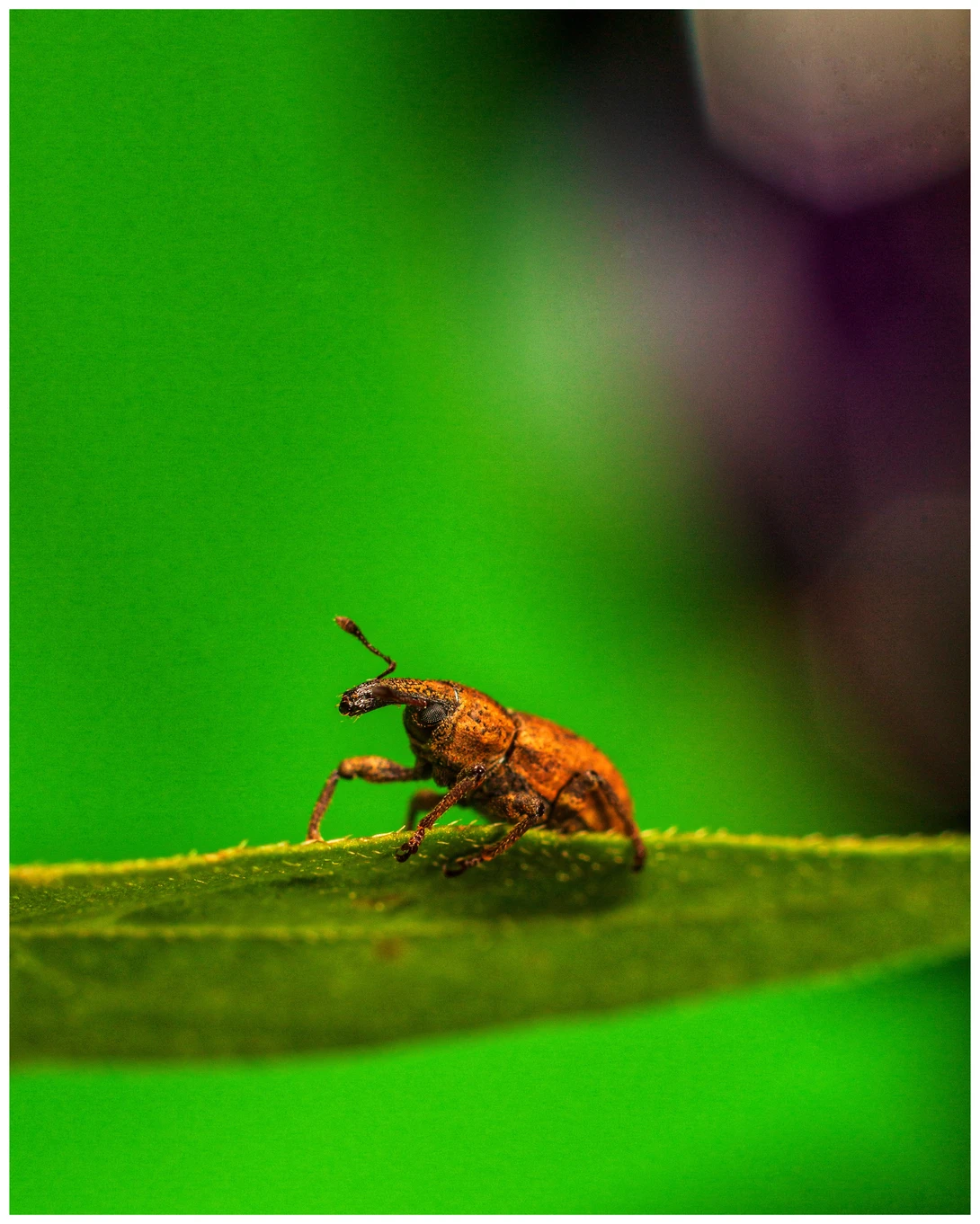 View 418cb55dd6521c6e01c607997de17eb2.jpg by Daniel Frost