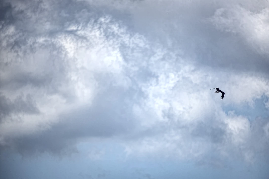 View 4b3eec5bdf33b203d761bd273b5cfca0.jpg by Andrew Williams