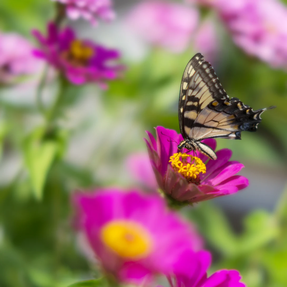 View 59852a073e2a4b484c8c0866cc0bfe88.jpg by joseph cole