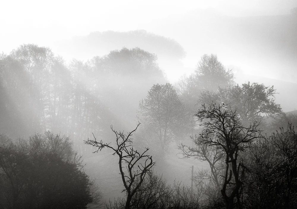 View 76f172a107f07bb289cab9d64d15bb83.jpg by Mark Seawell