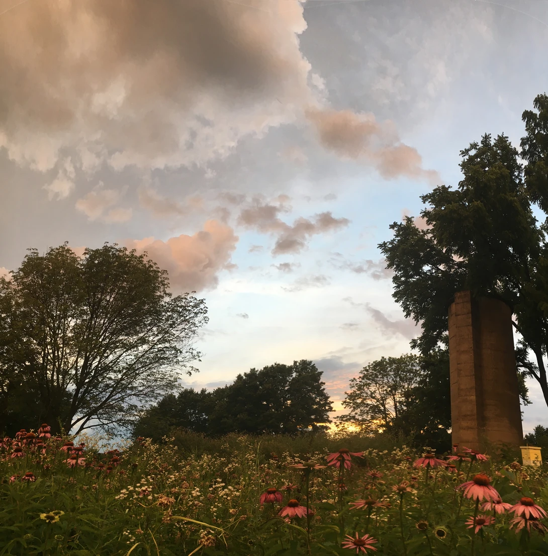 View 7ab1b8739bf1646573de07446e8dbc9a.jpg by joseph cole