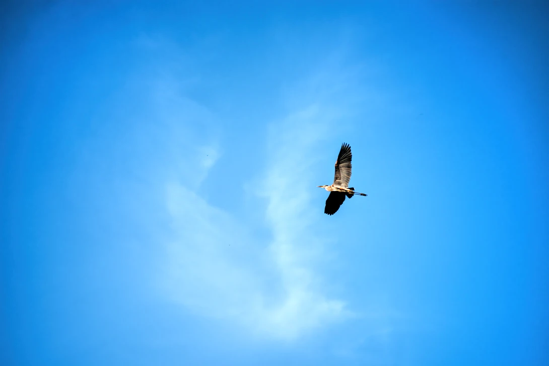 View 7f8819ca145daa8085dc41cf14c3cf3f.jpg by Andrew Williams