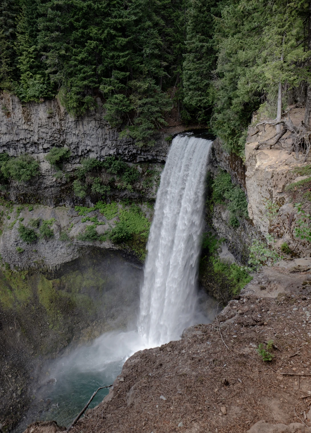View a32b962dbffa2a60581b6efe10c90689.jpg by Scott Steinson