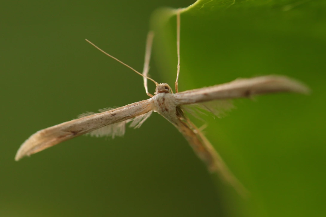 View acd23b4b1c1e54957dd39dc4a060f307.jpg by Ian Luyten
